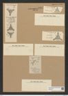 Diatomeae indet. (de-Toni-Nr.: Species 3428, 3954 } ? ? ?) Zeichnungen Sammlung Grunow Nr. 6884 (NHMW-BOT-W0375747)